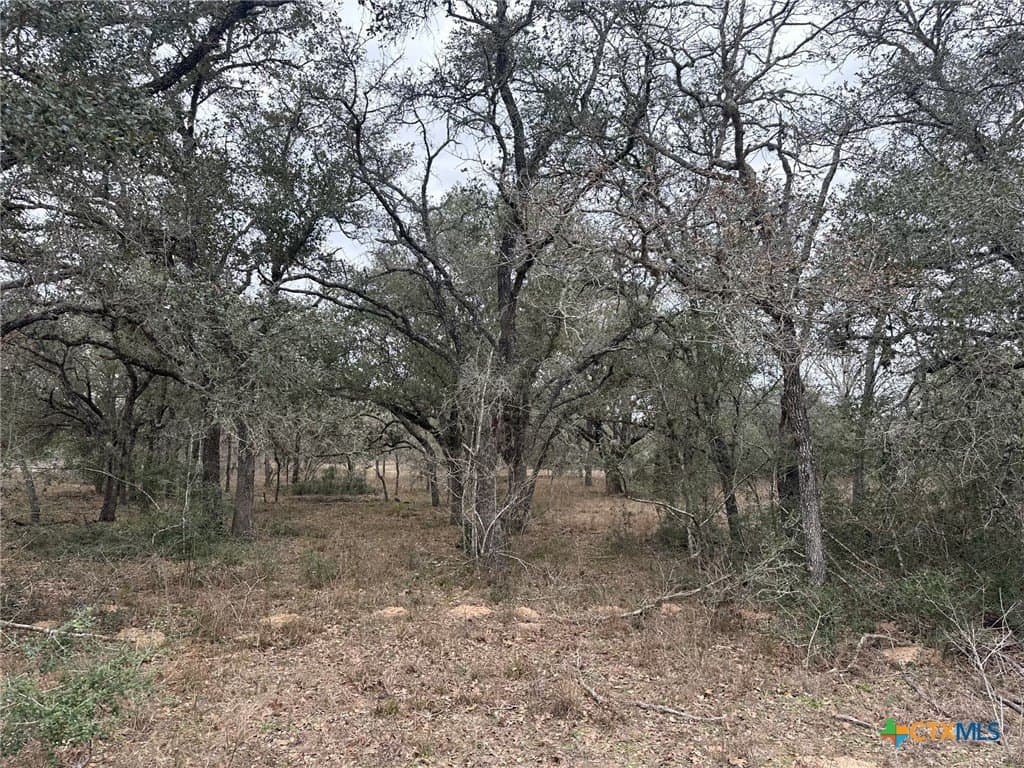 22.4 acres in Victoria County - photo 3