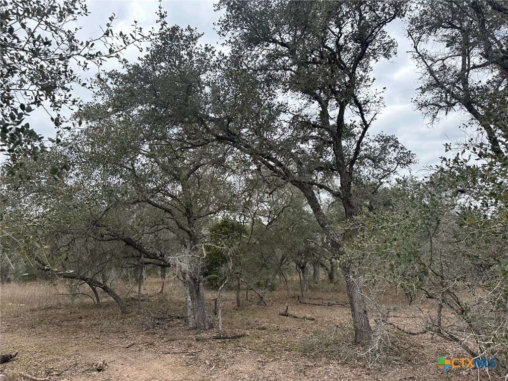 22.4 acres in Victoria County - photo 5