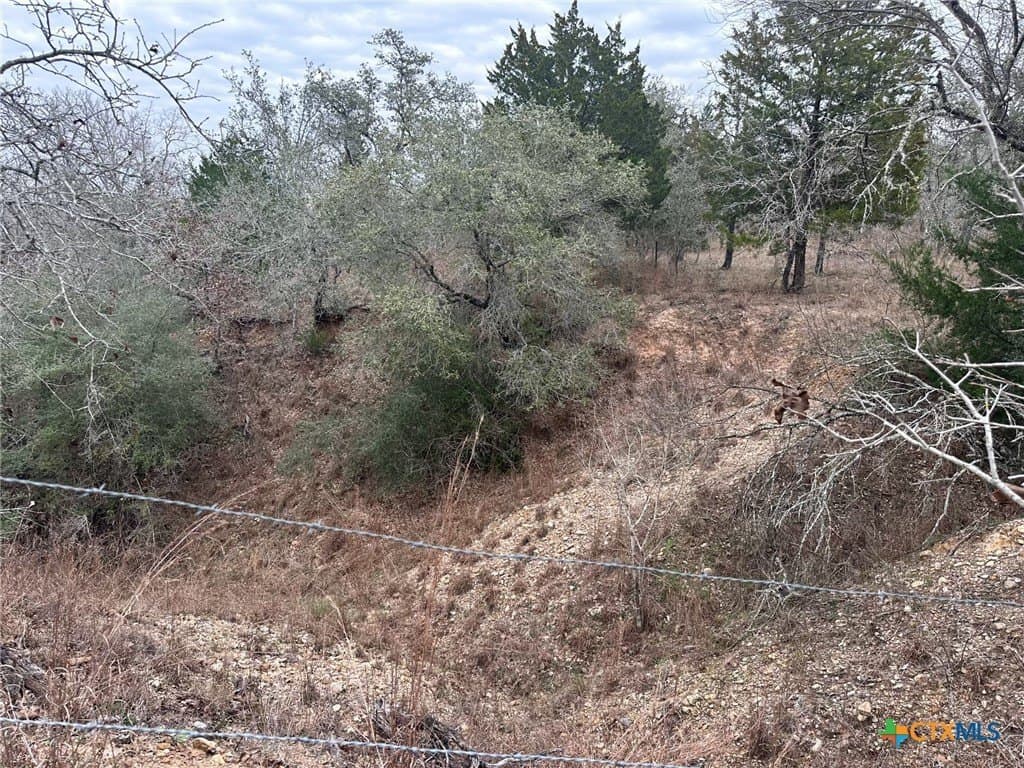 22.4 acres in Victoria County - photo 4