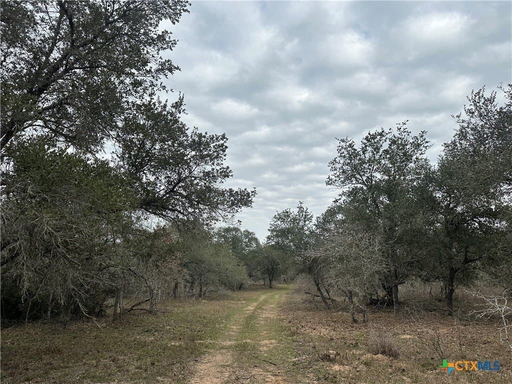 Dentler Tract 3 Road