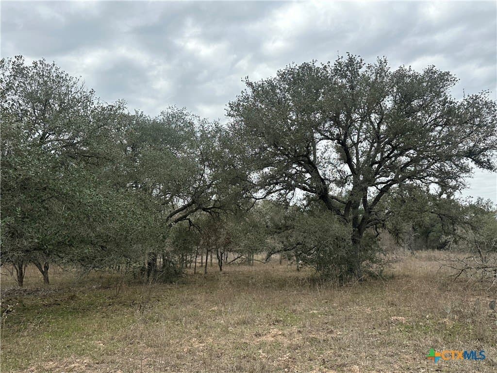 22.4 acres in Victoria County - photo 2