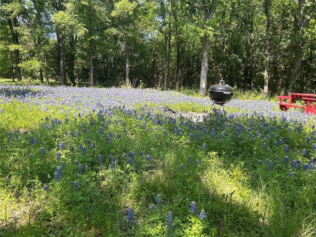 1.49 acres in McLennan County - photo 24