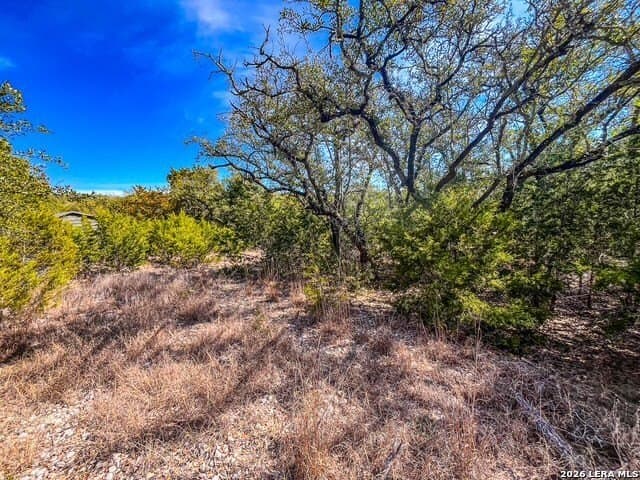 0.56 acres in Comal County - photo 5