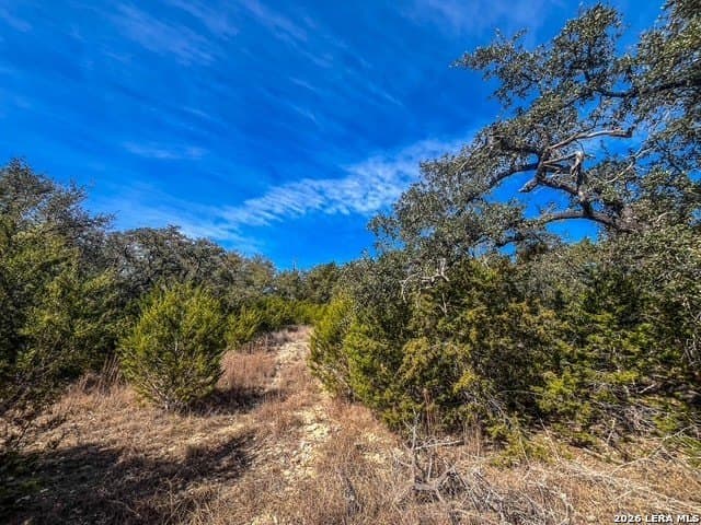 0.56 acres in Comal County - photo 3