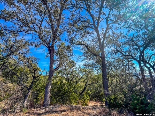 0.56 acres in Comal County - photo 2