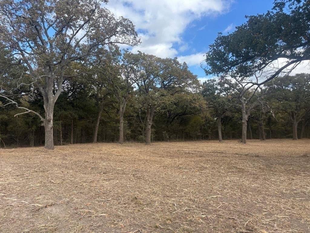 5.2 acres in Hunt County - photo 3