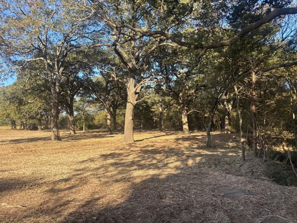 5.2 acres in Hunt County - photo 6