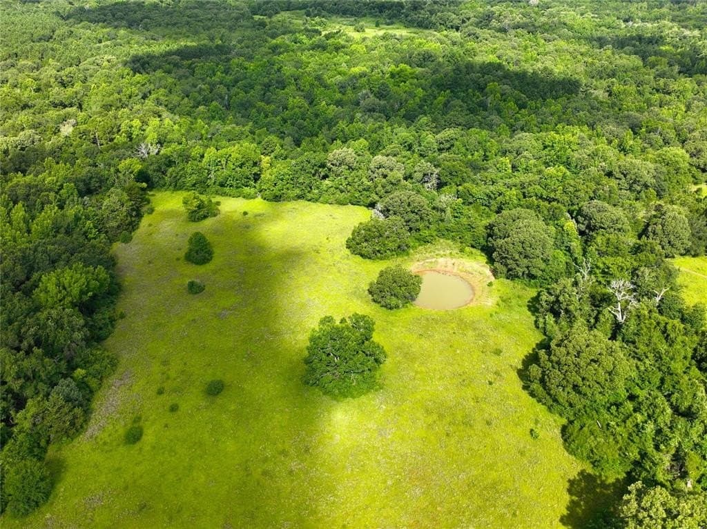 54.12 acres in Freestone County - photo 12