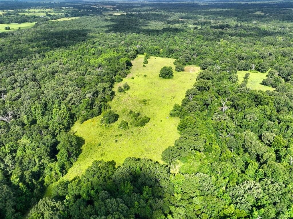 54.12 acres in Freestone County - photo 9