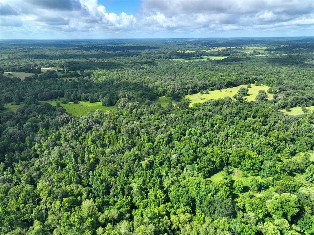 54.12 acres in Freestone County - photo 8