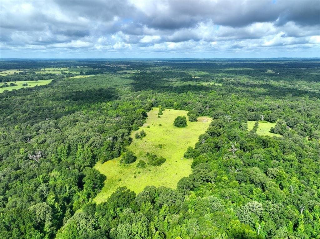 54.12 acres in Freestone County - photo 10