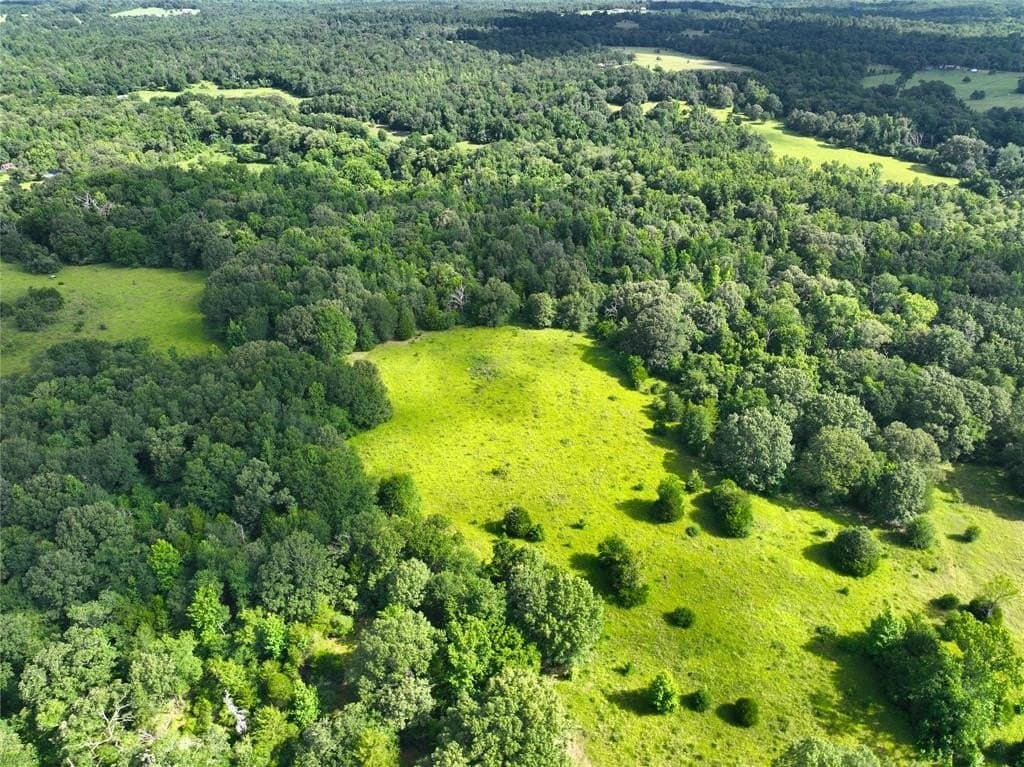 54.12 acres in Freestone County - photo 7