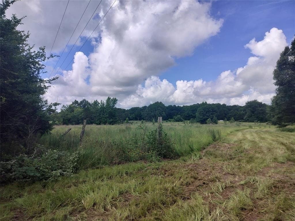 54.12 acres in Freestone County - photo 13