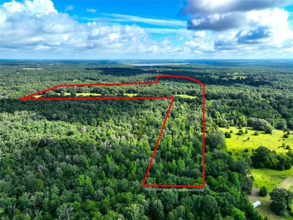 54.12 acres in Freestone County - photo 5