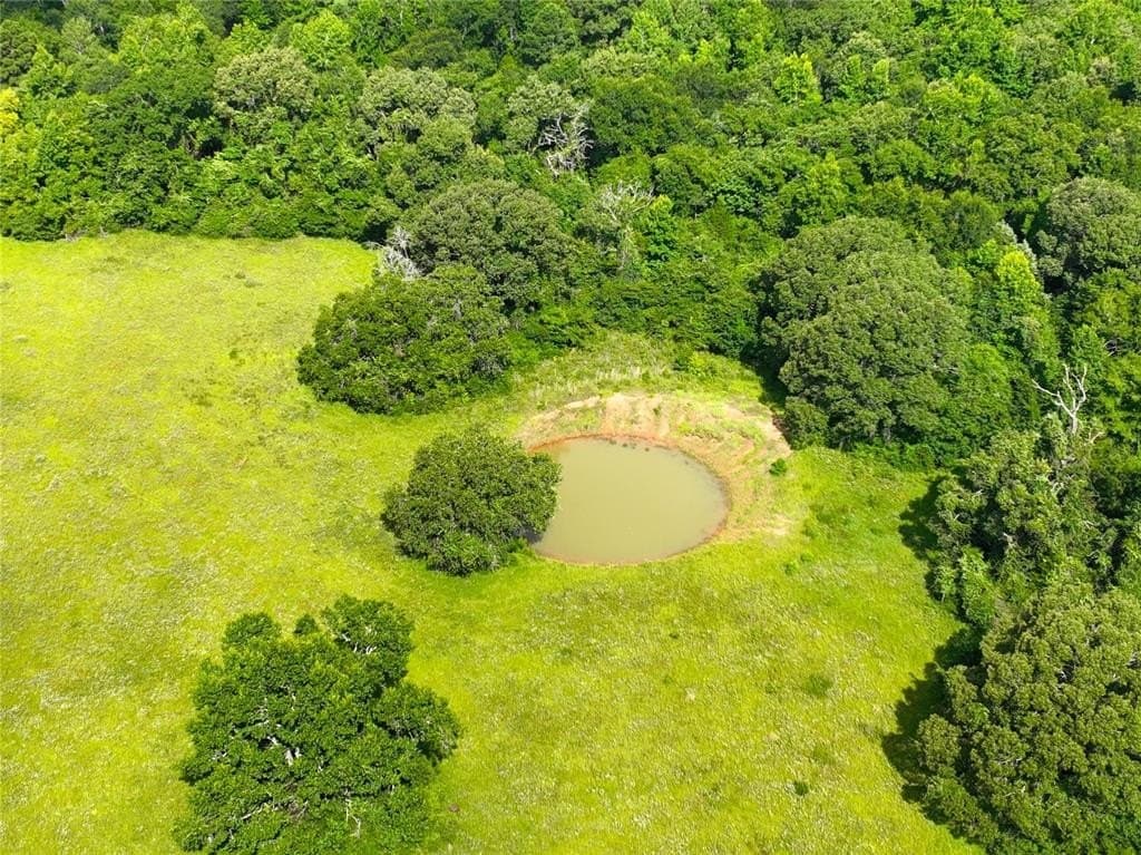 54.12 acres in Freestone County - photo 11