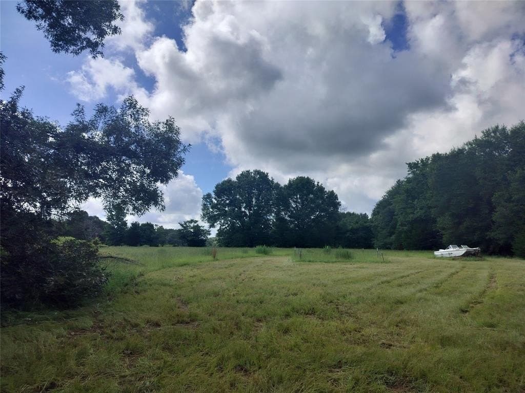 54.12 acres in Freestone County - photo 6