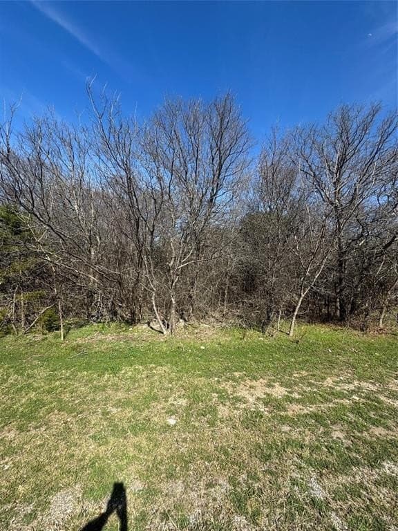 0.33 acres in Hill County - photo 2