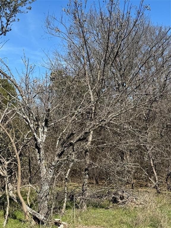 0.33 acres in Hill County - photo 3