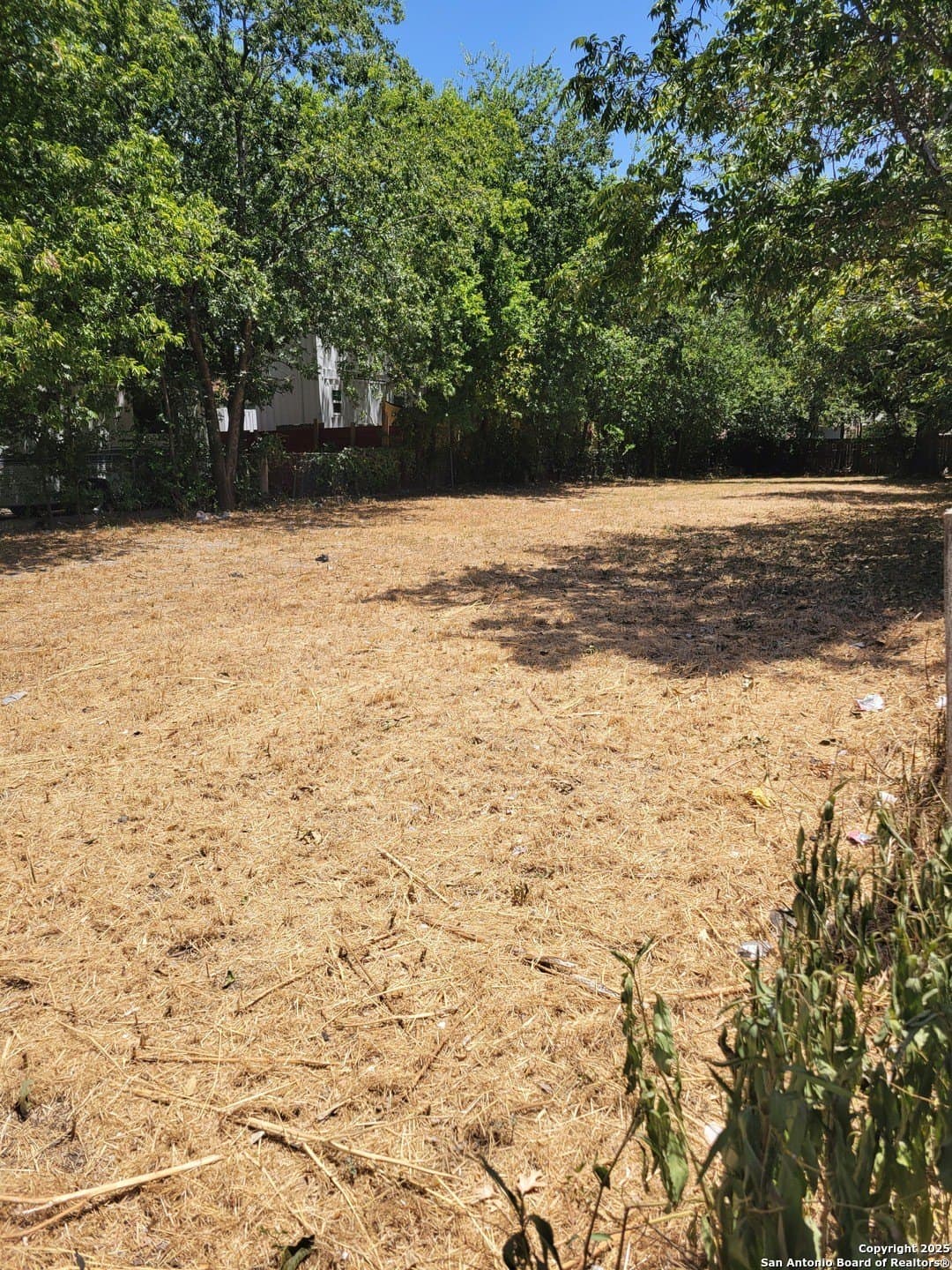 0.17 acres in Bexar County - photo 5