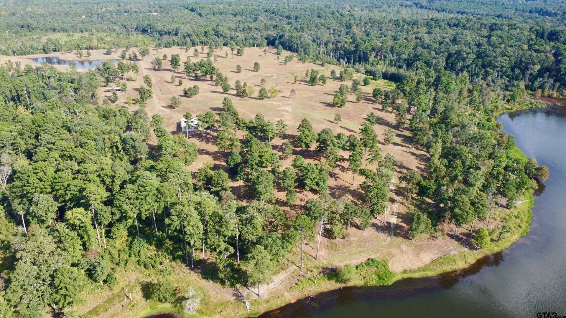 42.31 acres in Marion County - photo 11