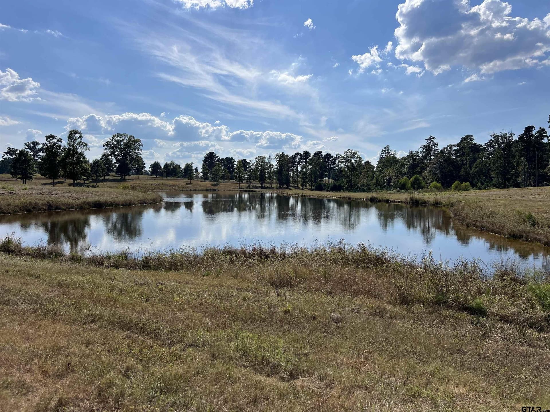 42.31 acres in Marion County - photo 5