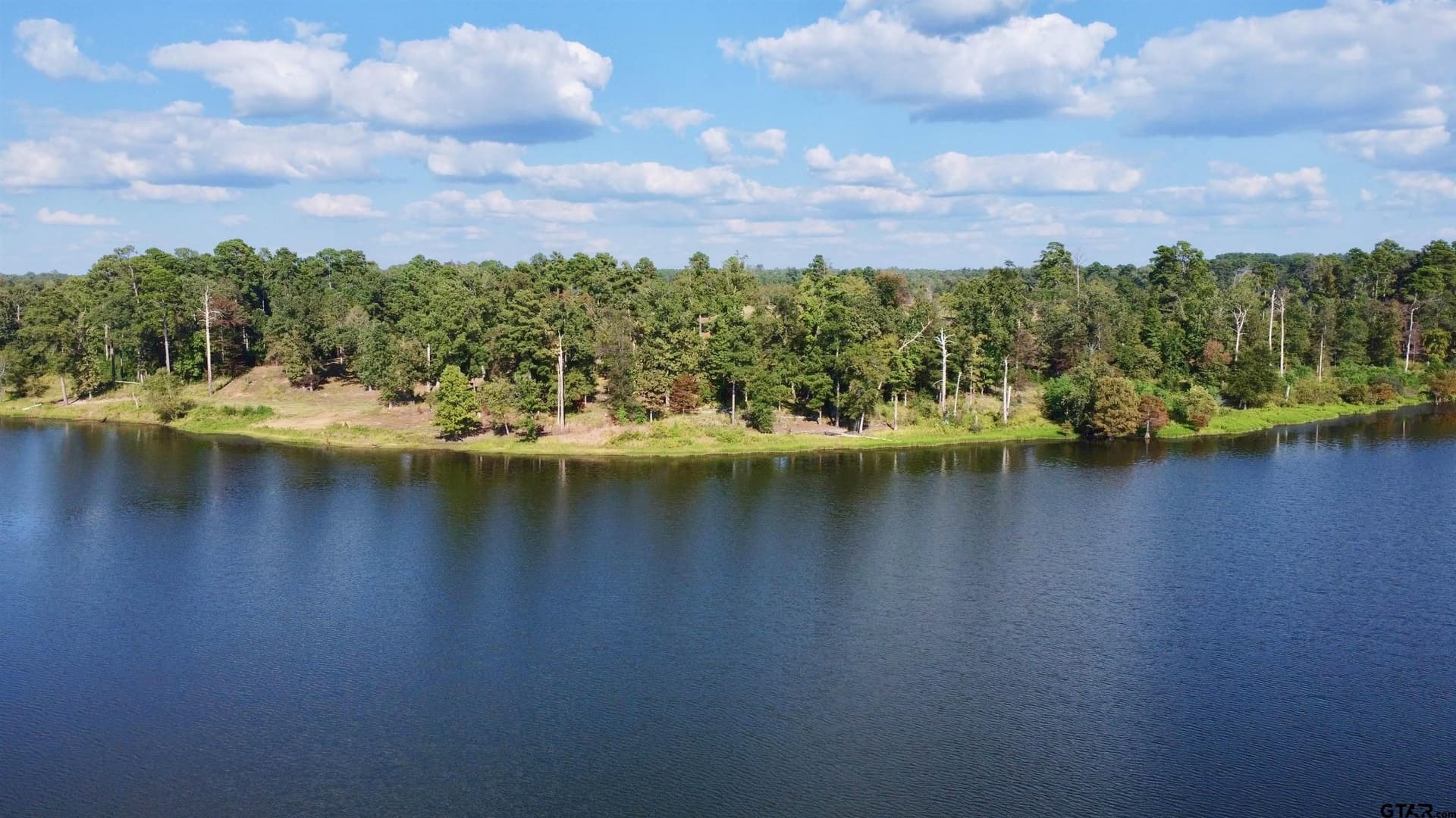 42.31 acres in Marion County - photo 9
