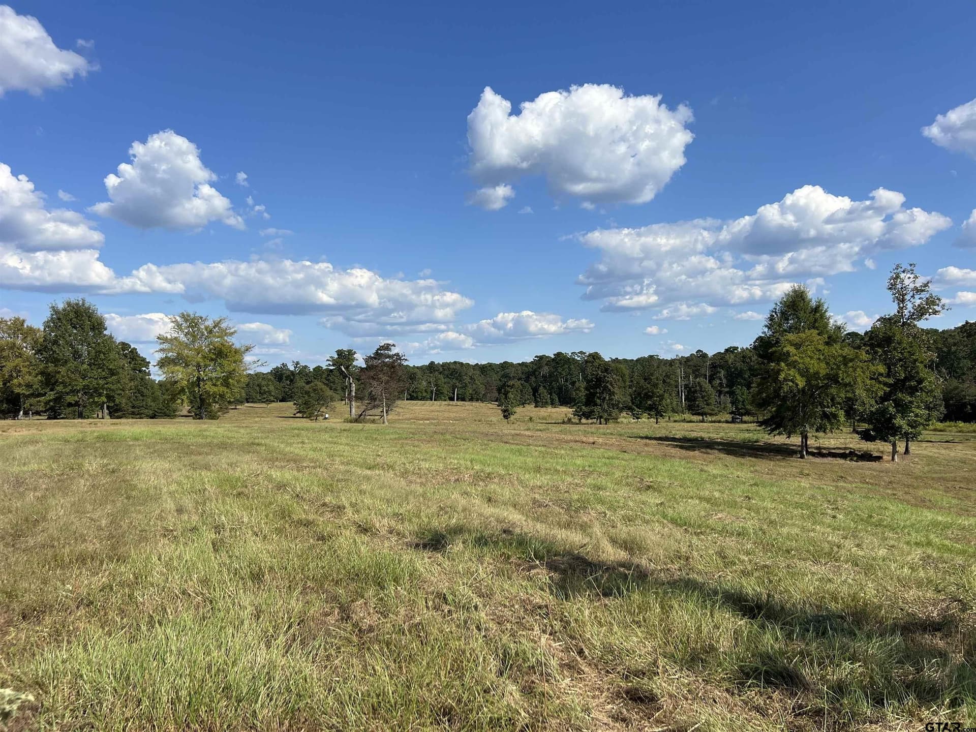 42.31 acres in Marion County - photo 14