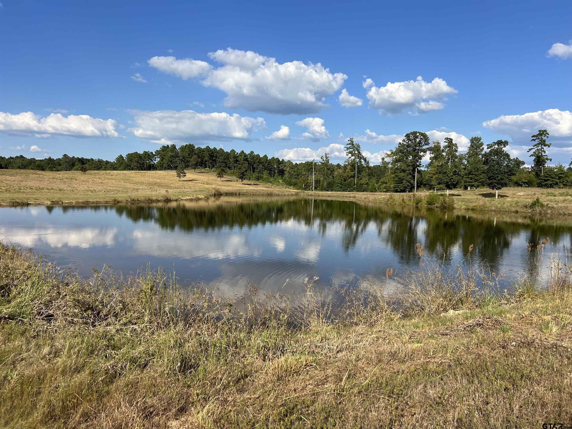 42.31 acres in Marion County - photo 16