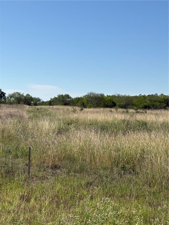 0 acres in Bee County - photo 3