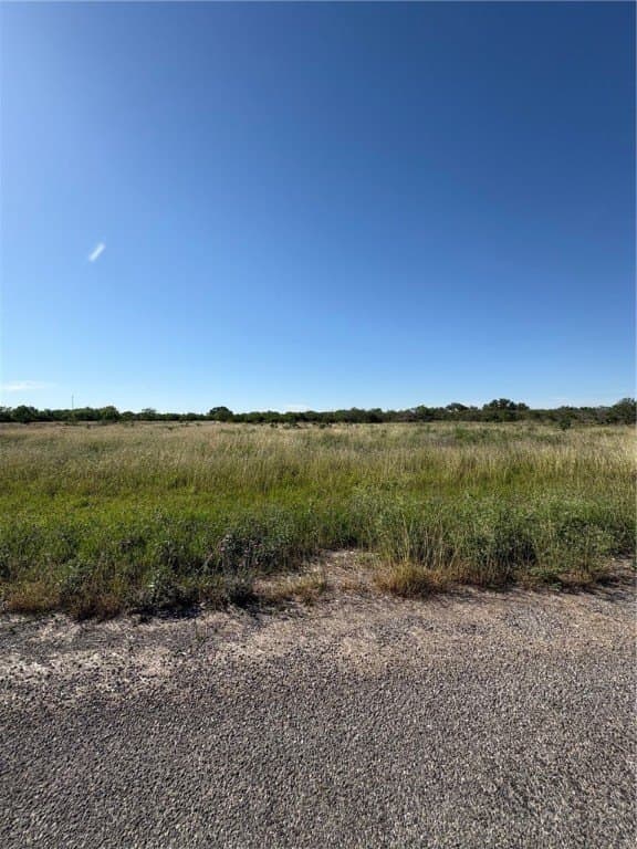 0 acres in Bee County - photo 5