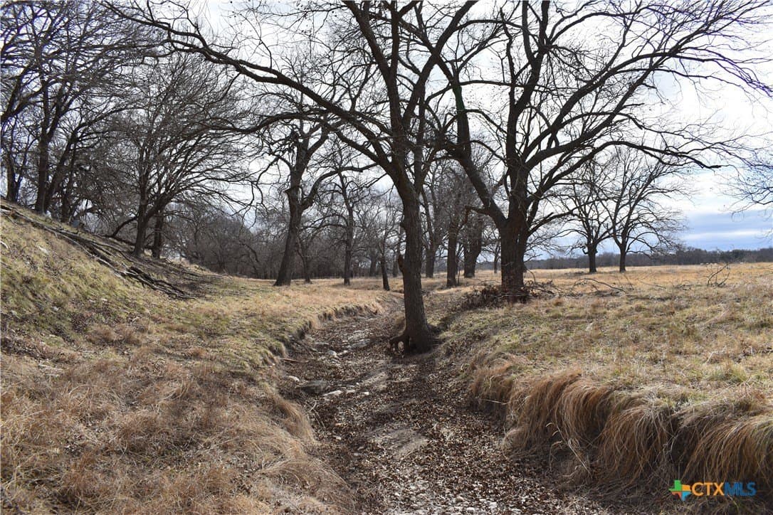 70.21 acres in Hamilton County - photo 11