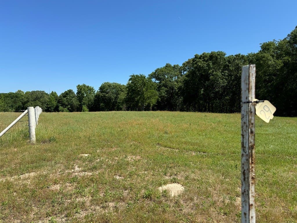 3.24 acres in Henderson County - photo 2