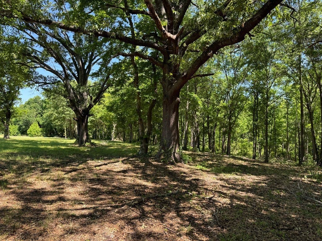 3.24 acres in Henderson County - photo 16