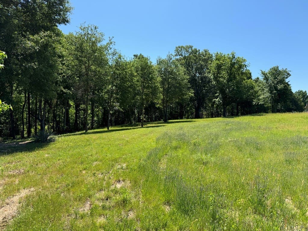 3.24 acres in Henderson County - photo 4