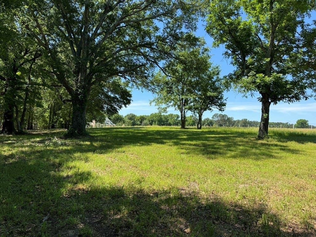 3.24 acres in Henderson County - photo 18