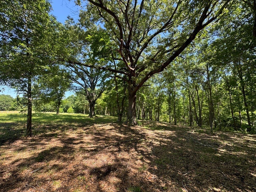 3.24 acres in Henderson County - photo 17