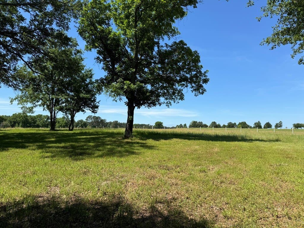 3.24 acres in Henderson County - photo 19