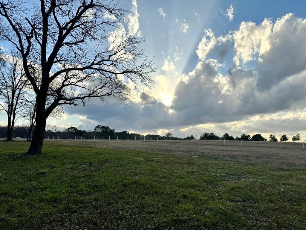 3.24 acres in Henderson County - photo 3