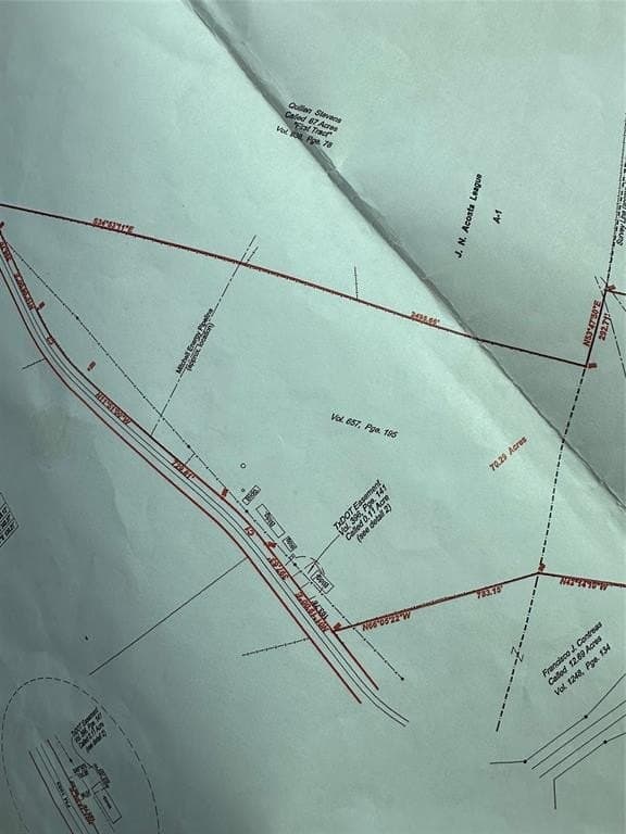 14 acres in Limestone County - photo 4