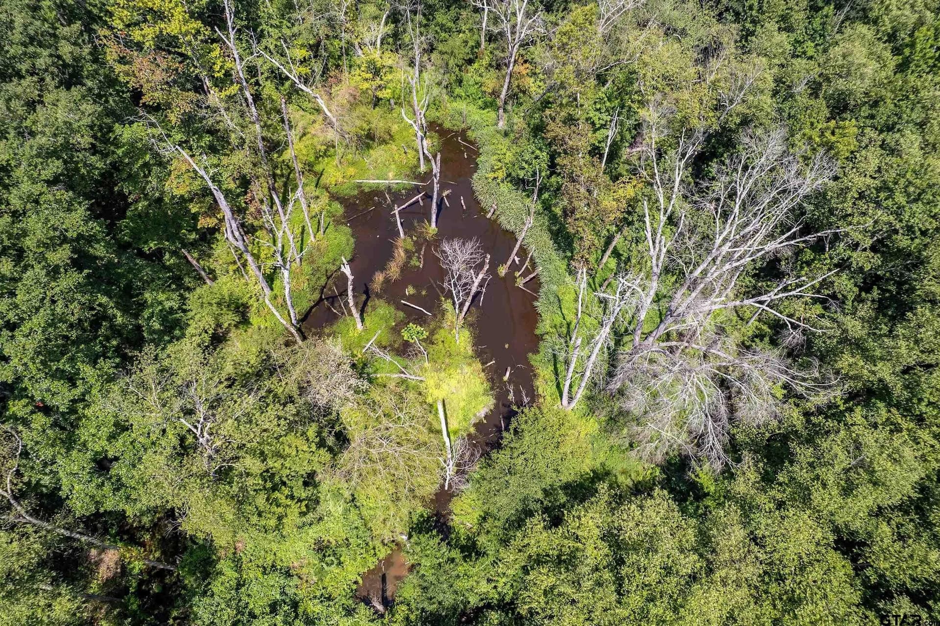 14.83 acres in Smith County - photo 8