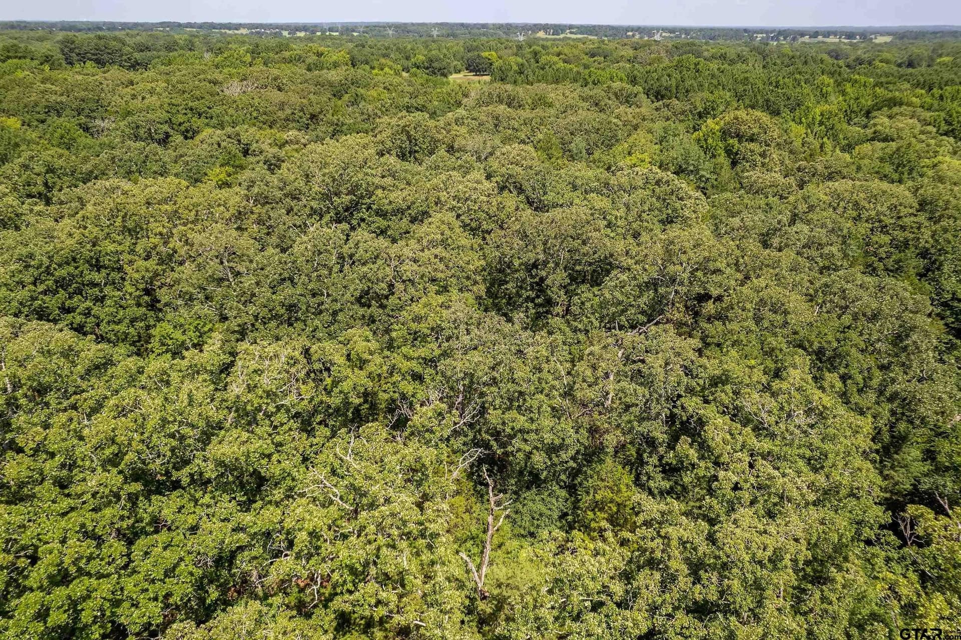14.83 acres in Smith County - photo 9
