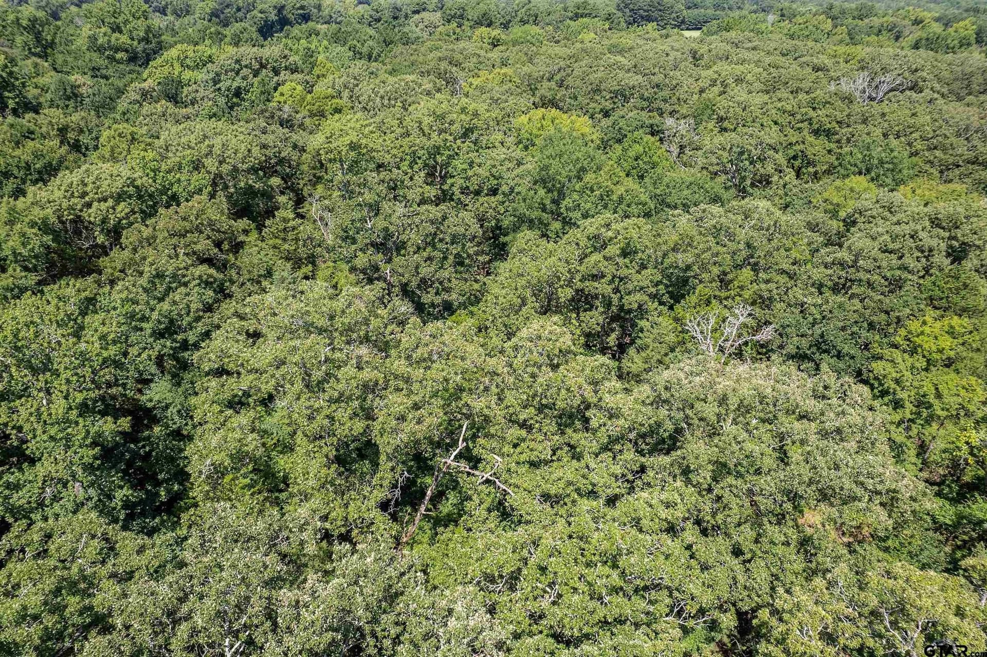 14.83 acres in Smith County - photo 11