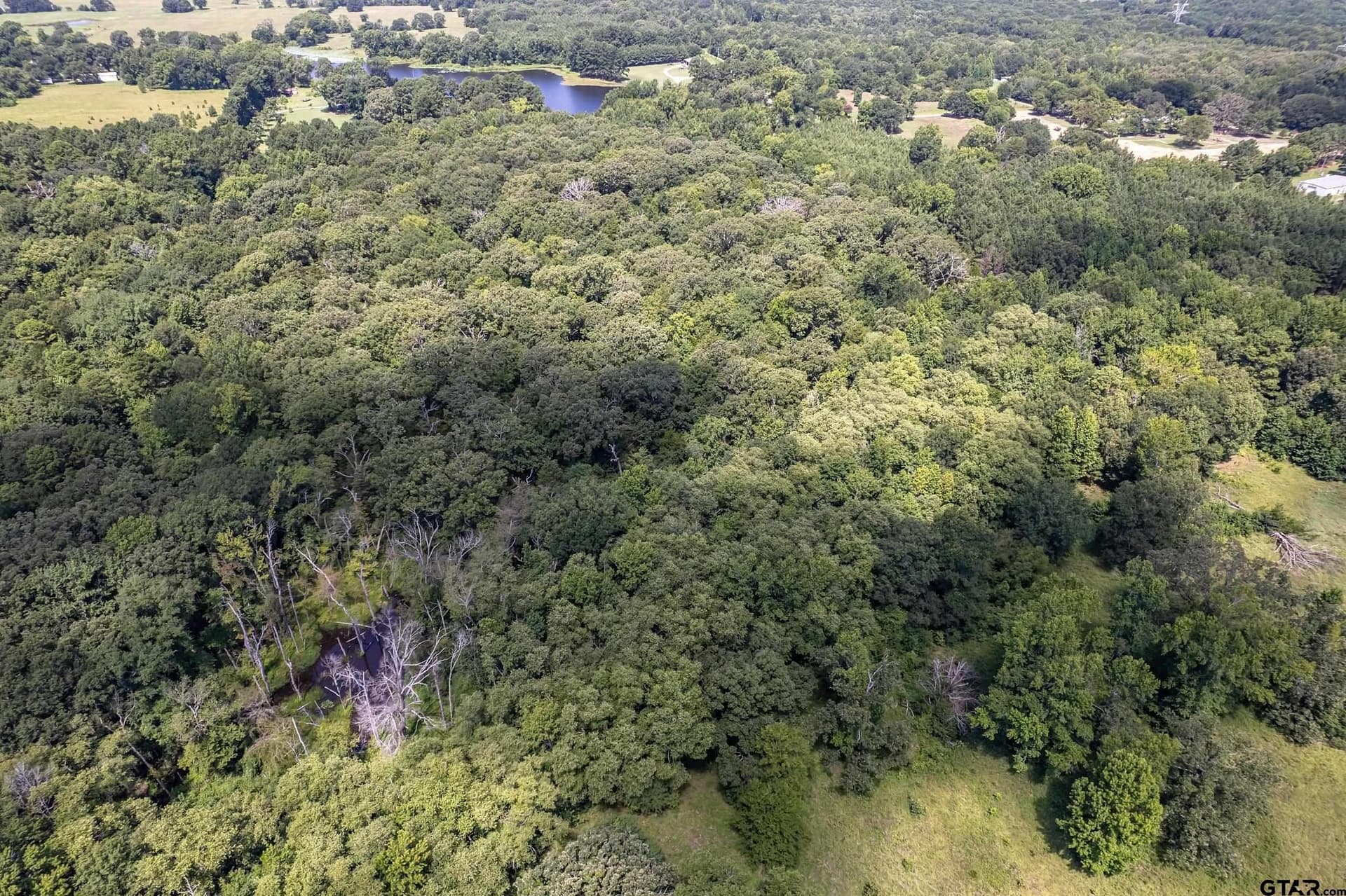 14.83 acres in Smith County - photo 6