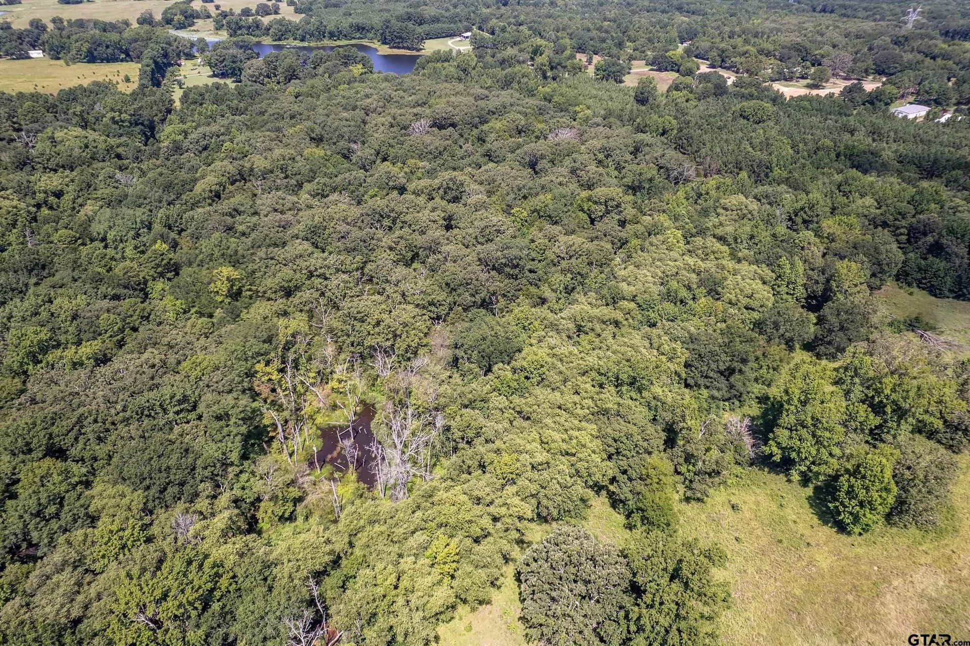14.83 acres in Smith County - photo 7