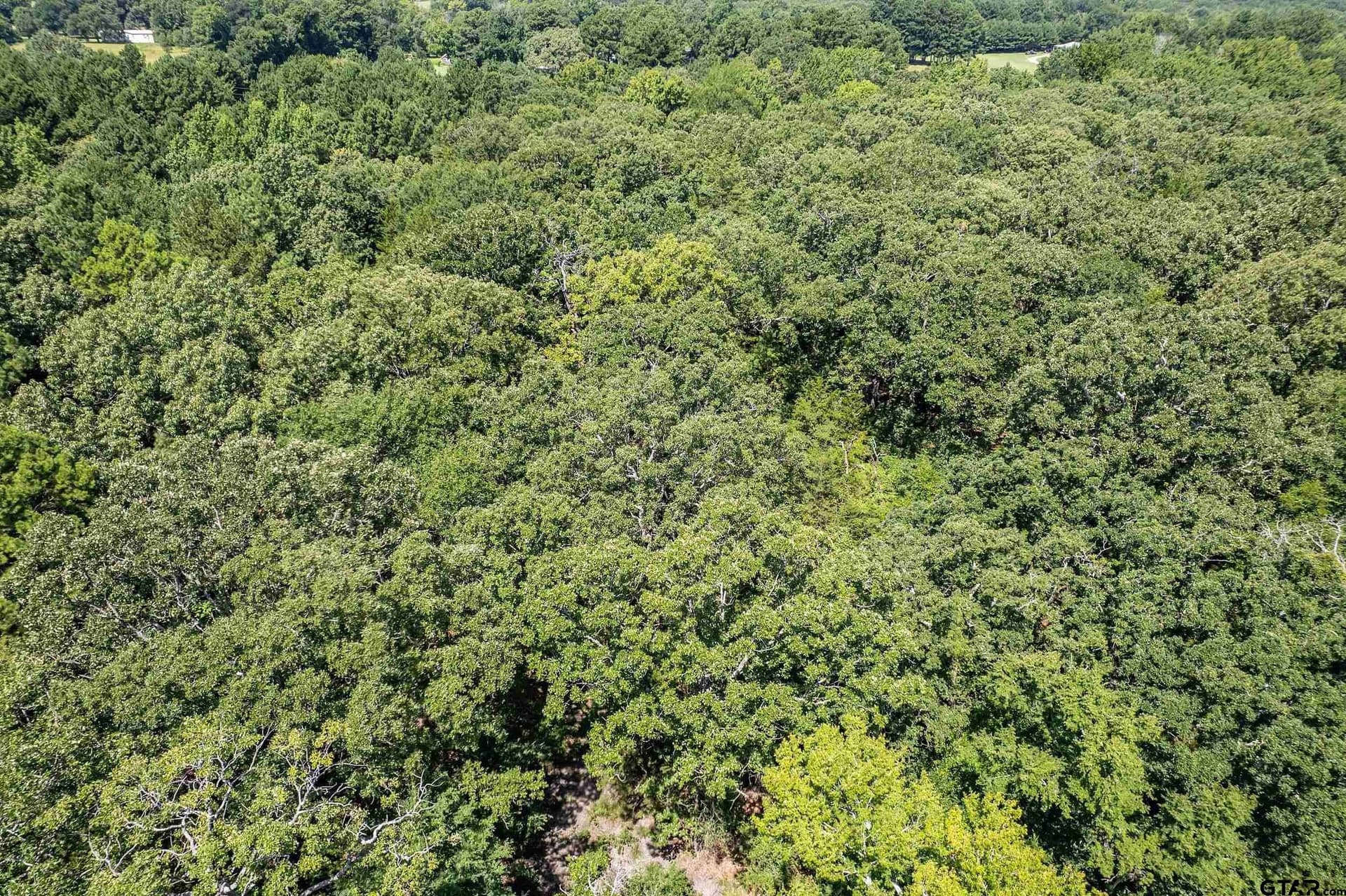 14.83 acres in Smith County - photo 12