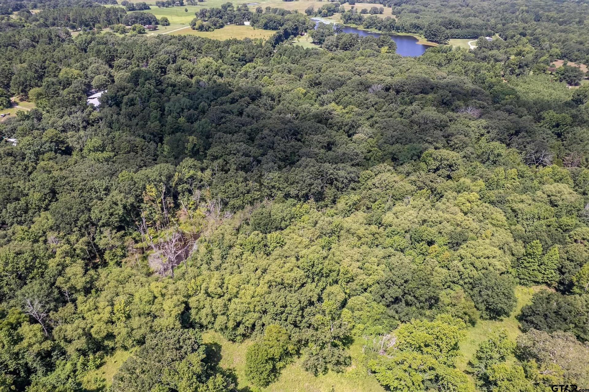 14.83 acres in Smith County - photo 5