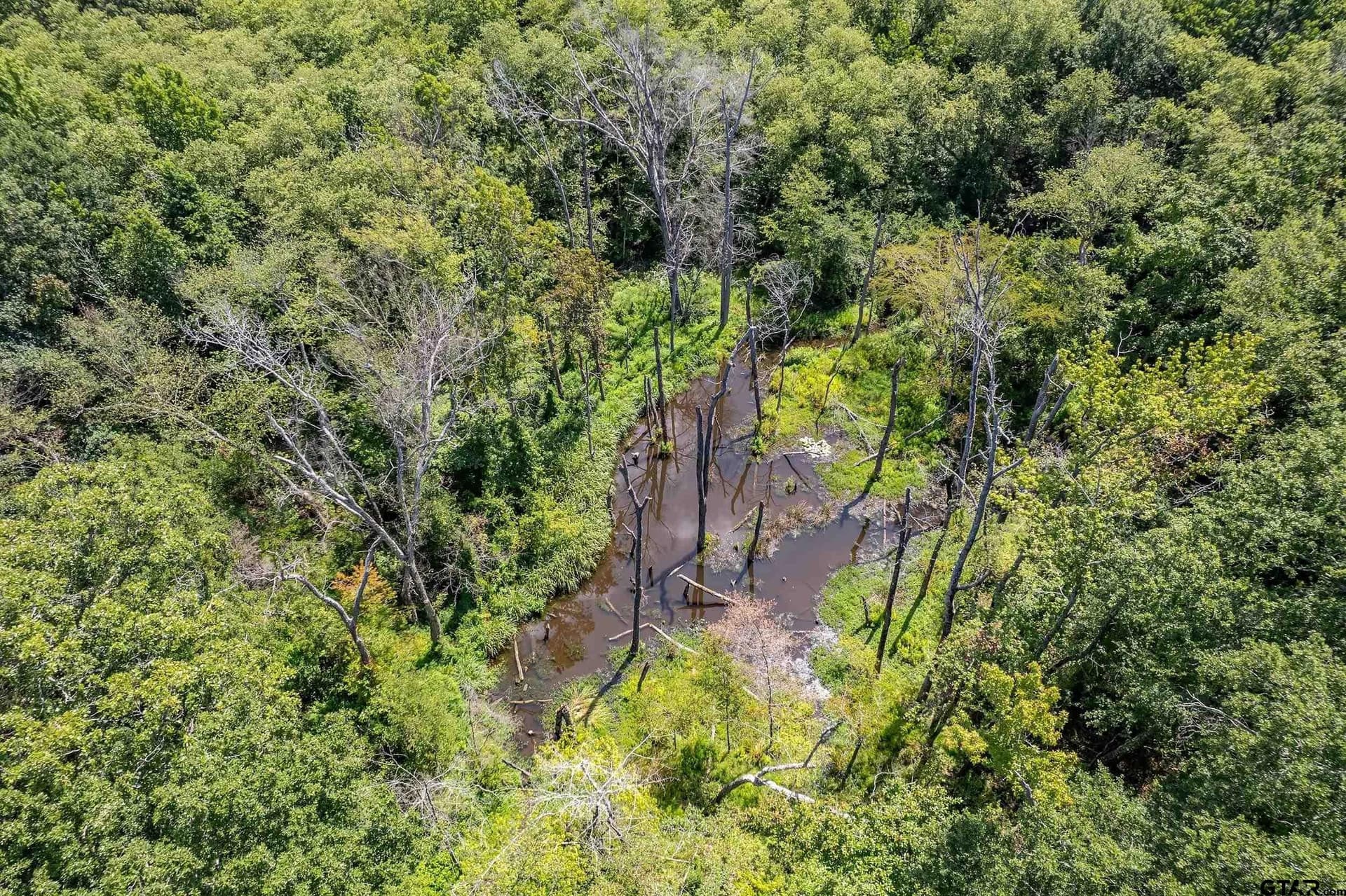 14.83 acres in Smith County - photo 10