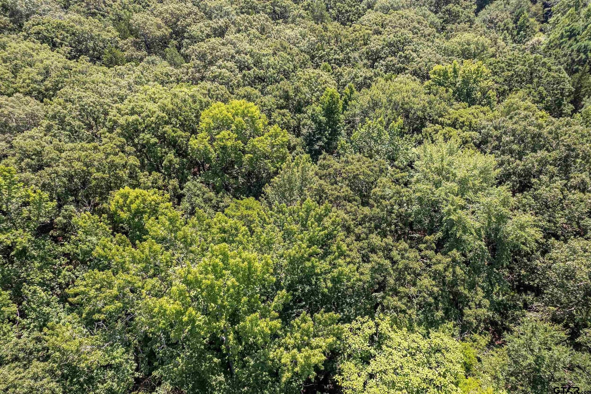 14.83 acres in Smith County - photo 13