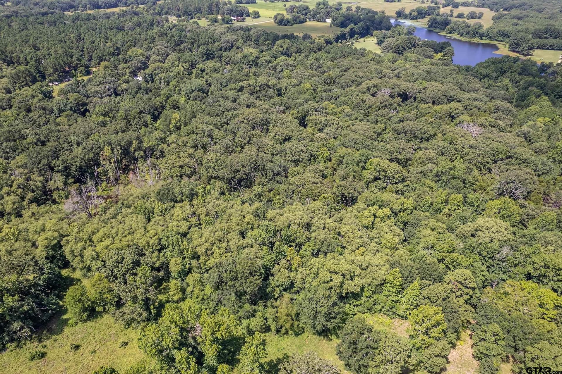 14.83 acres in Smith County - photo 4