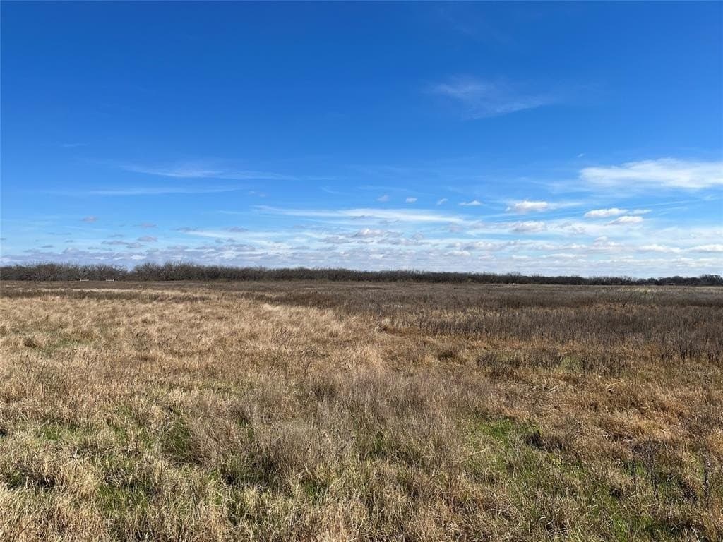 10 acres in Navarro County - photo 8